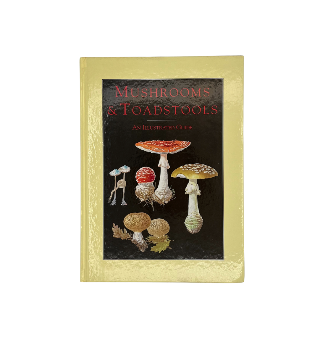 Mushrooms & Toadstools: An Illustrated Guide